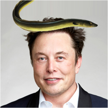 Eelon Musk